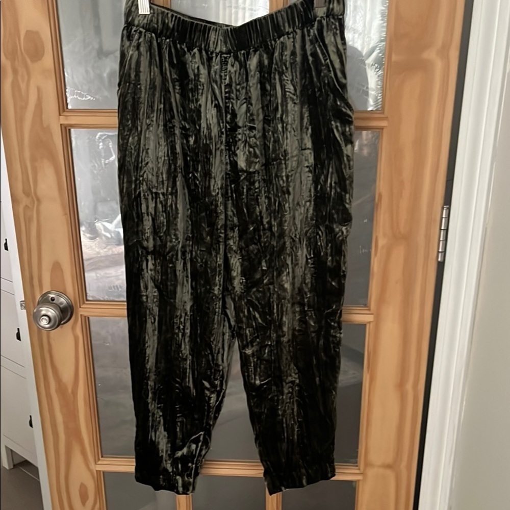 By Anthropology Hunter Green Crushed Velvet Joggers Sz small